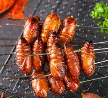 Roasted Silkworm Pupa
