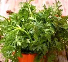 Emperor's Vegetable