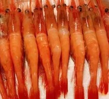Sweet Shrimp