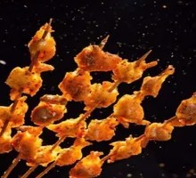 Grilled Chicken Gizzards