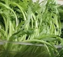 Bamboo Shoots