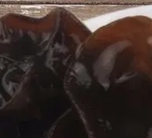 Black Wood Ear Mushroom