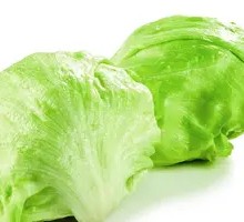 Romaine lettuce