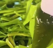 Kelp