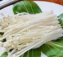 Enoki Mushroom