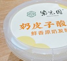 Creamy Milk Yogurt