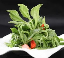 Ice Plant