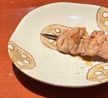 Rib Cartilage