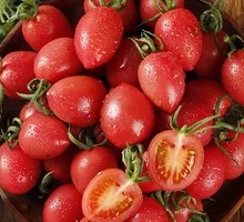 Hainan Millennium Cherry Tomatoes