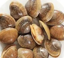 Fresh Large Clam