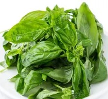 Basil Leaf