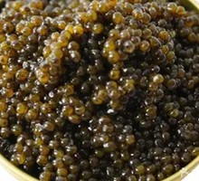 Sturgeon Caviar