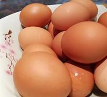 Egg
