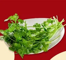 Cilantro