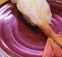 Red Shrimp