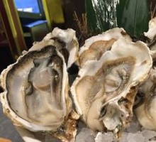 Oyster