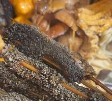 Morel Mushroom