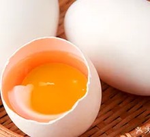 Egg