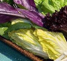Vegetable Platter