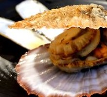 Red Scallop