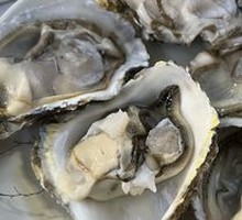 Large Oyster