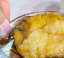 Small Abalone