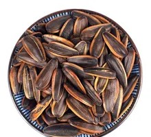 Caramelized Sunflower Seeds