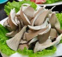 Enoki Mushroom