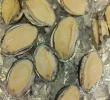 Abalone