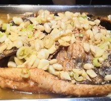 江团鱼