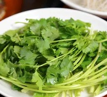 Cilantro