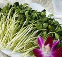 Pea Shoots