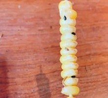 Grilled Skewers