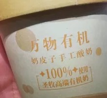 Creamy Milk Yogurt