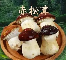 Crimini Mushroom