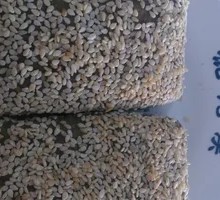Salted Pepper Crispbread