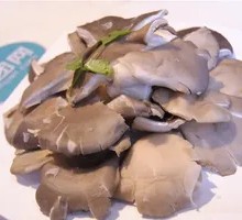 Enoki Mushroom