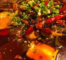 Premium Maoxuewang