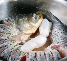 Grass Carp
