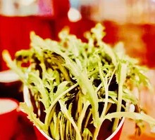 Bamboo Shoots
