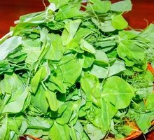 Pea Shoots