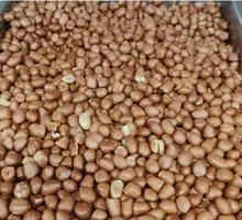 Fried Peanuts