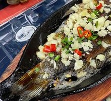 Special Iron Plate Carp