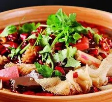 Premium Maoxuewang