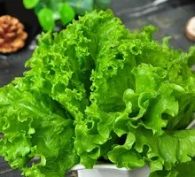 Lettuce