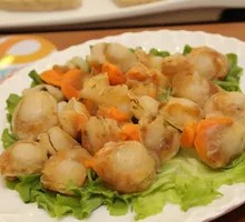 Scallop Meat