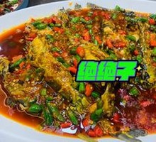 Yellow Croaker