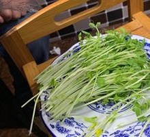 Chinese pea shoots