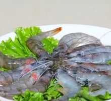 Large Shrimp