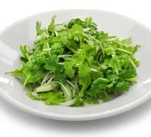 Cilantro and green onion garnish